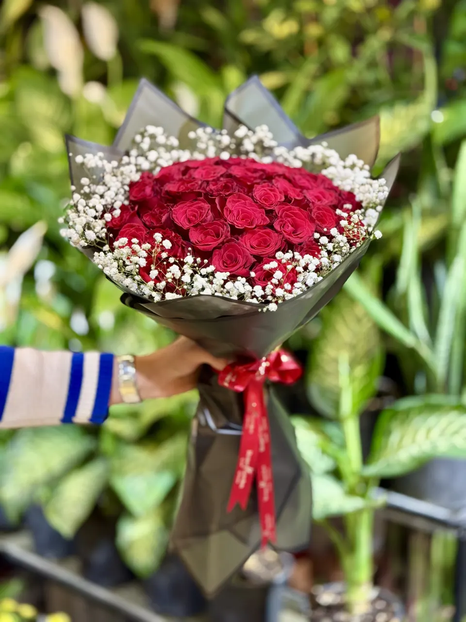 Premium Kırmızı Gül ve Cipso Kubbe Buket